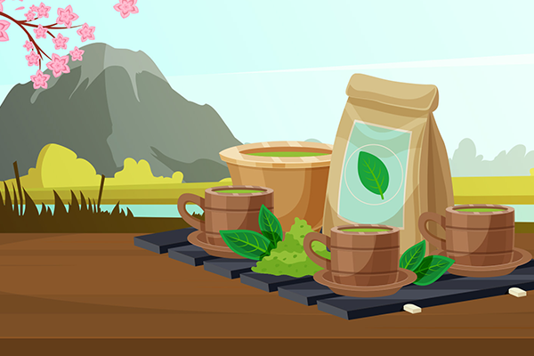 过年吃得太油腻喝什么茶 喝茶的注意事项有哪些